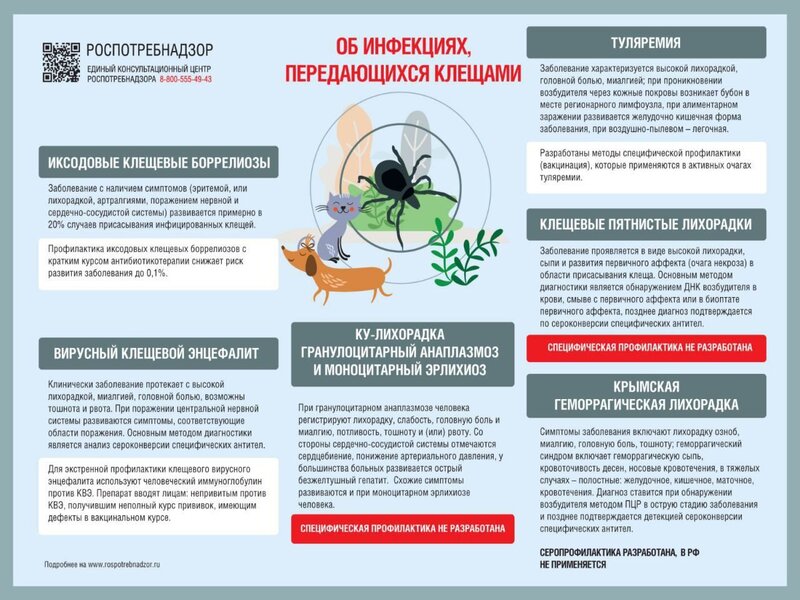 Информация от Управления Роспотребнадзора по Саратовской области.