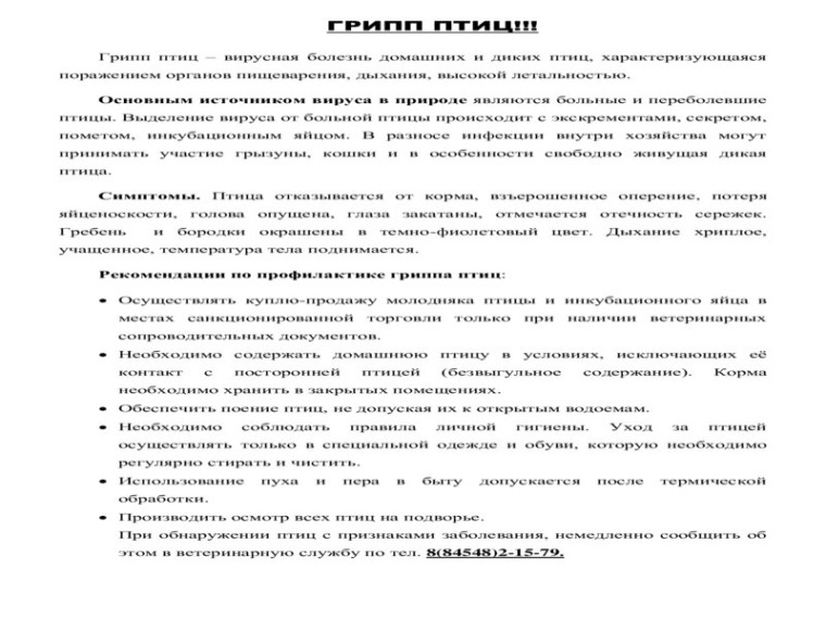 памятка населению _Грипп птиц. памятка населению _Грипп птиц.