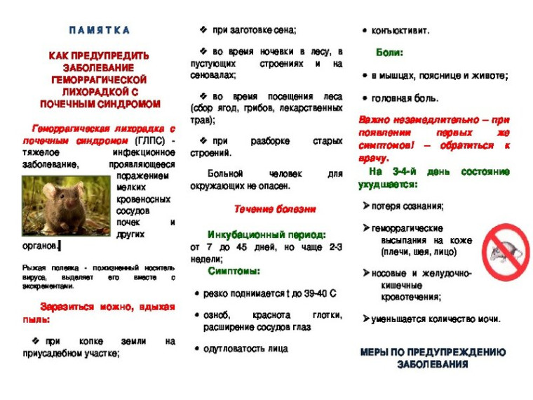 памятка для населения по ГЛПС. памятка для населения по ГЛПС.